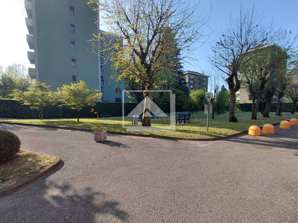 immagine annuncio 11 di 12