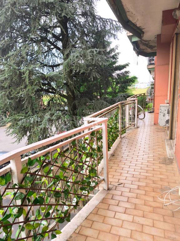 immagine annuncio 6 di 9