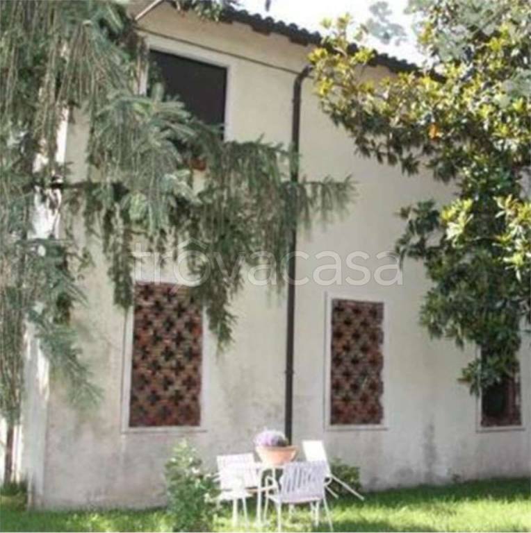 immagine annuncio 3 di 12
