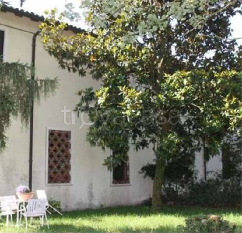 immagine annuncio 4 di 12