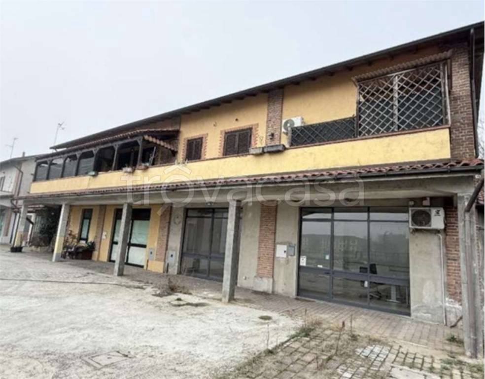 immagine annuncio 9 di 12