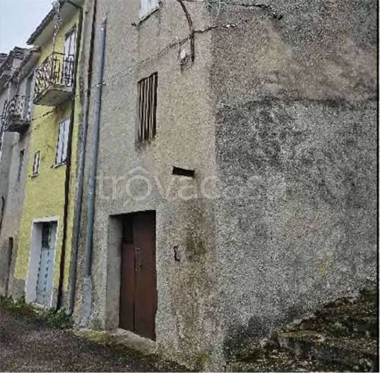 immagine annuncio 4 di 12