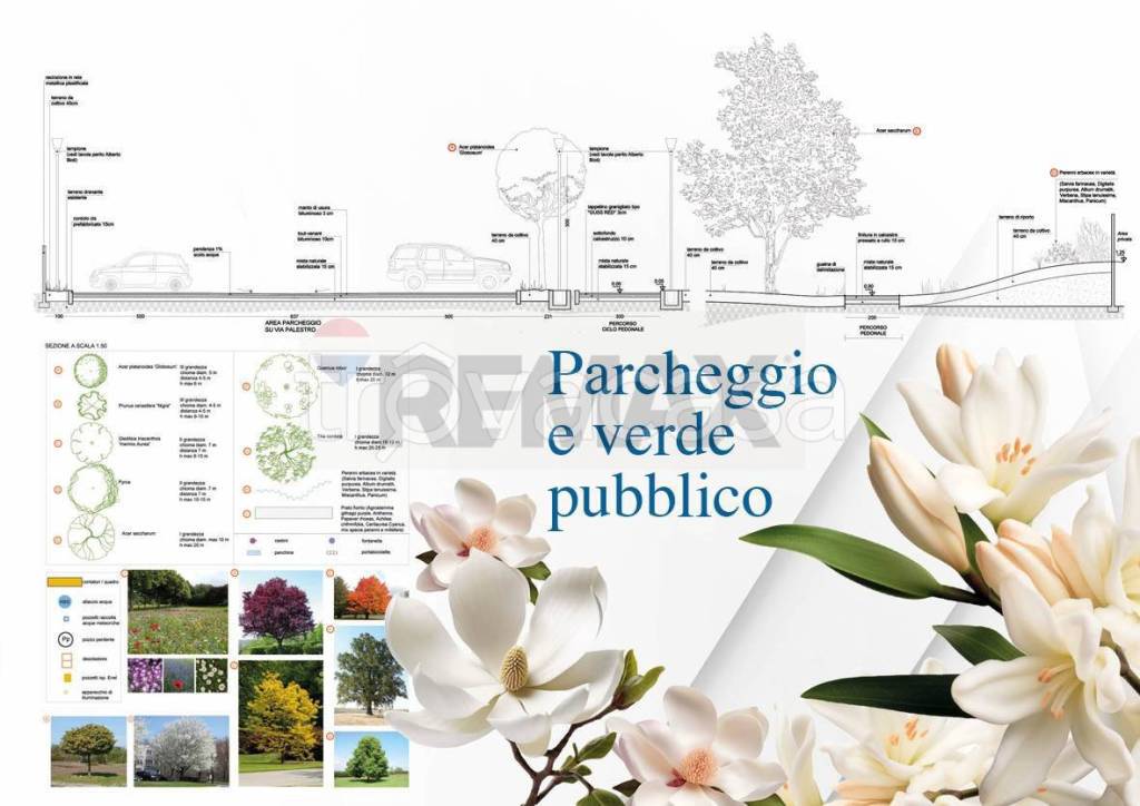 immagine annuncio 7 di 14
