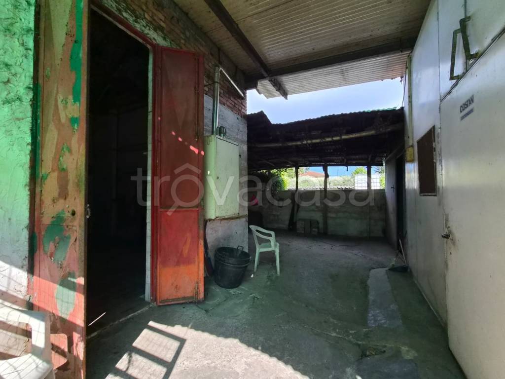 immagine annuncio 6 di 14