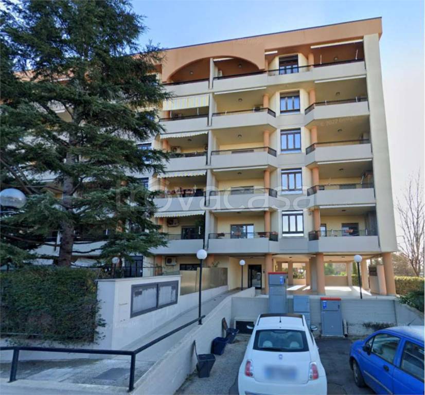 immagine annuncio 2 di 12
