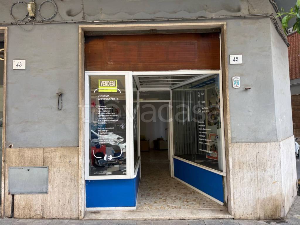 immagine annuncio 1 di 7