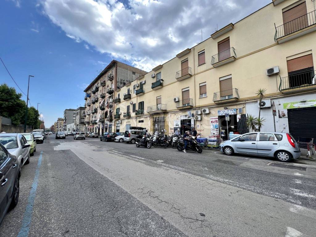 immagine annuncio 9 di 13