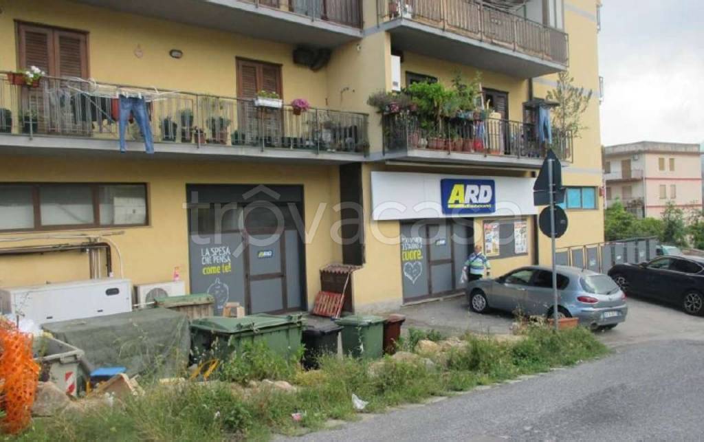 immagine annuncio 1 di 9