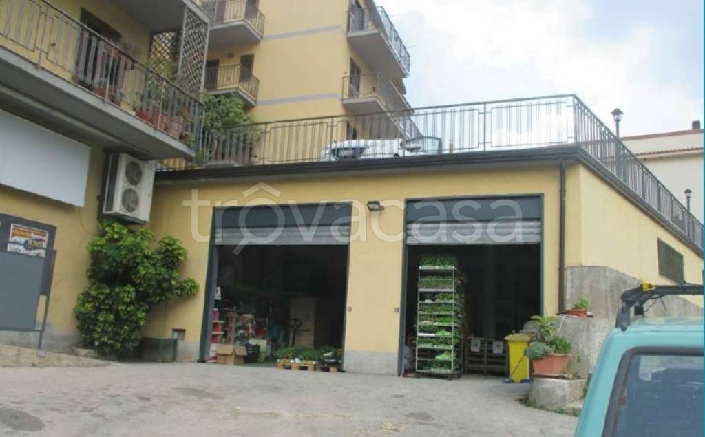 immagine annuncio 2 di 9
