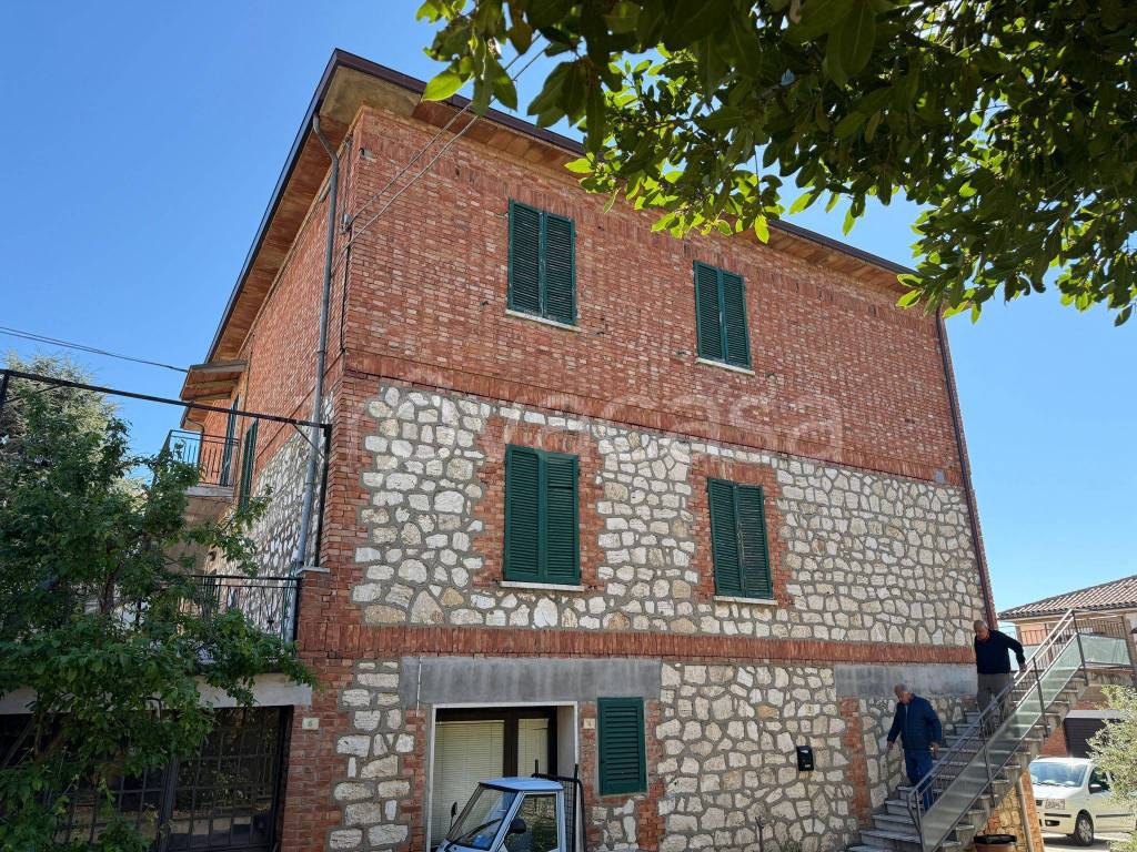 immagine annuncio 11 di 12