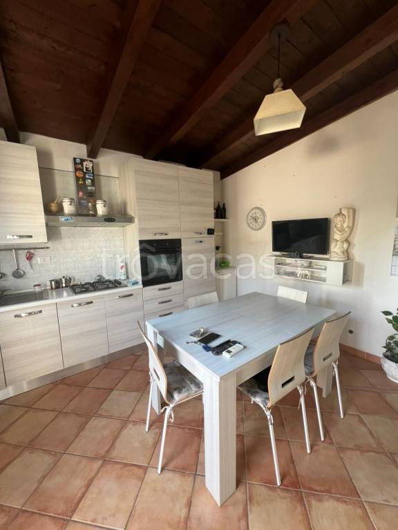 immagine annuncio 5 di 14