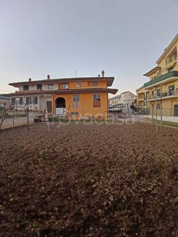 immagine annuncio 12 di 13
