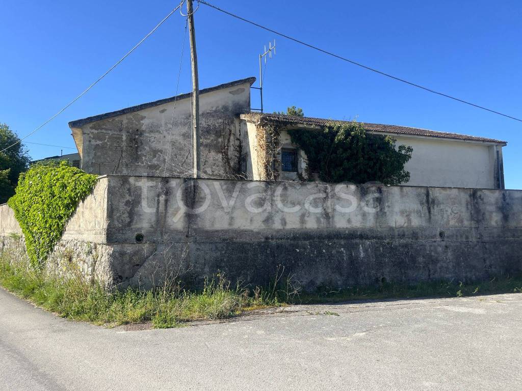 immagine annuncio 3 di 4