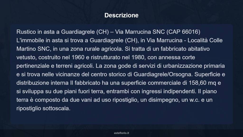 immagine annuncio 11 di 15
