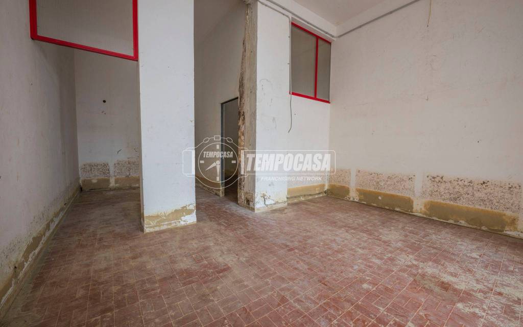 immagine annuncio 3 di 11