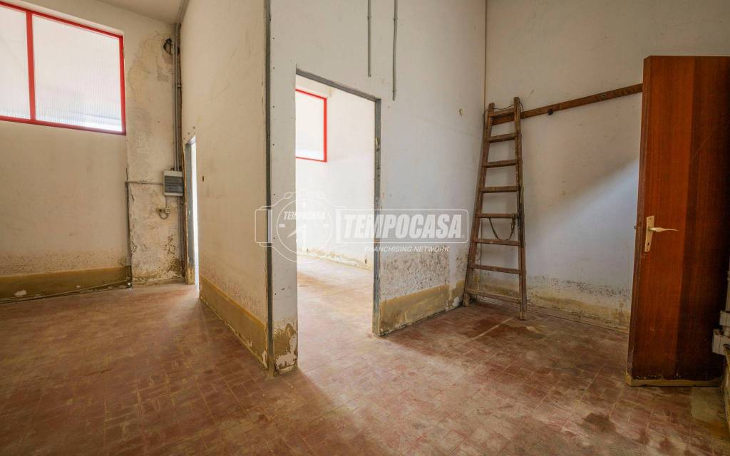 immagine annuncio 6 di 11