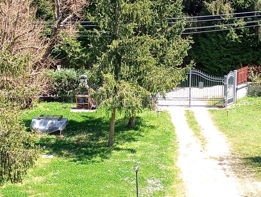 immagine annuncio 12 di 15