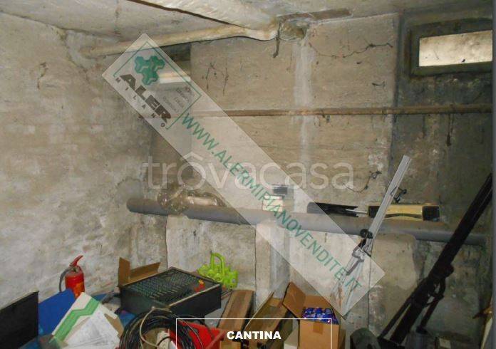 immagine annuncio 12 di 13