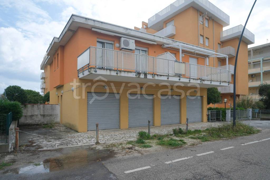 immagine annuncio 6 di 12