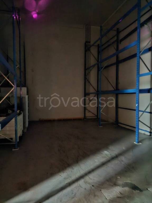 immagine annuncio 6 di 12