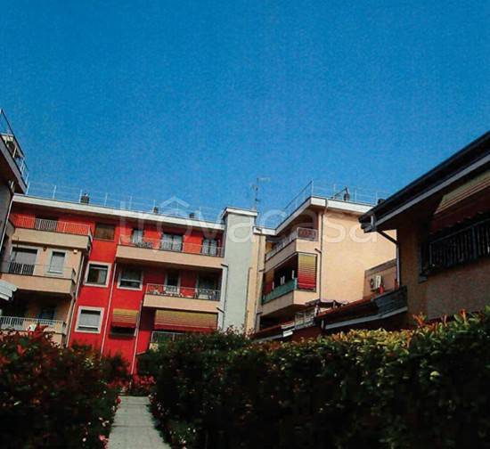 immagine annuncio 1 di 14