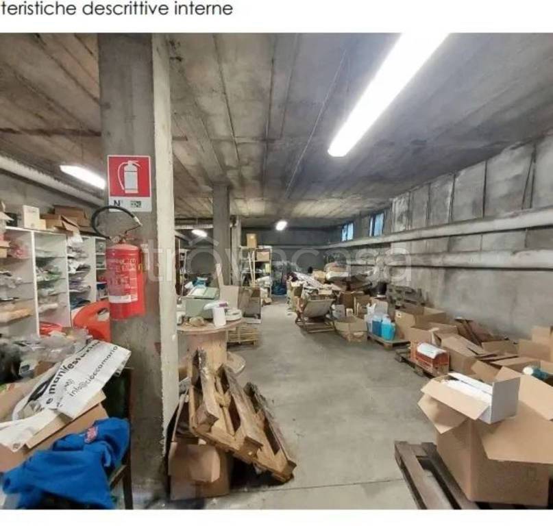 immagine annuncio 2 di 10