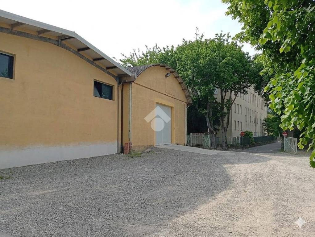 immagine annuncio 5 di 10