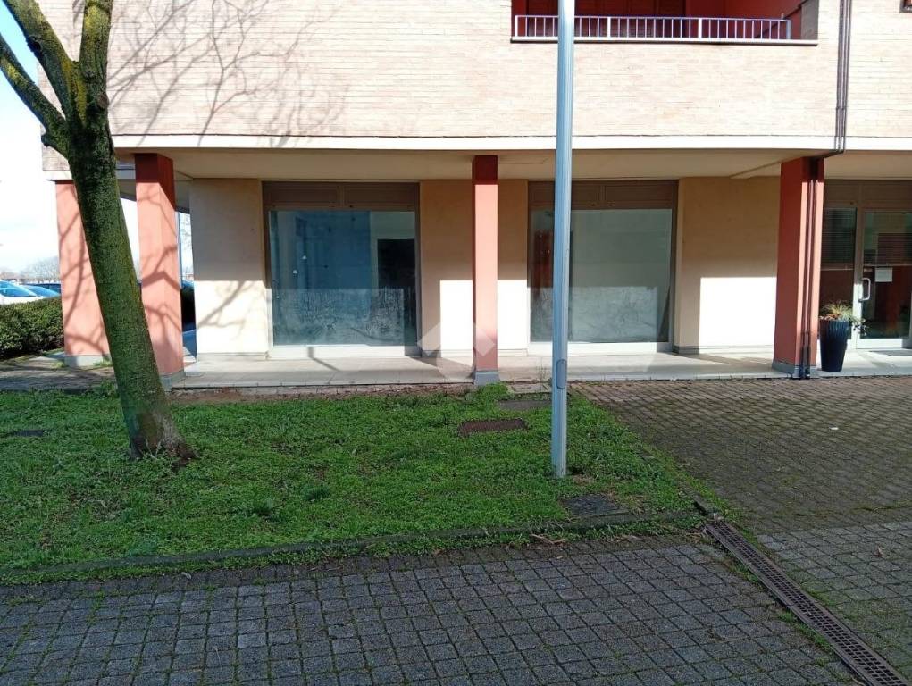 immagine annuncio 4 di 13
