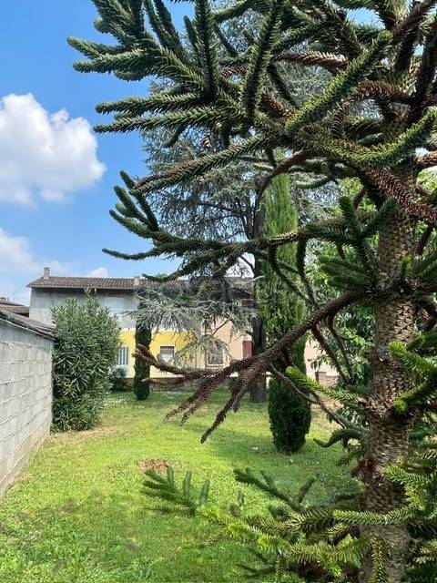 immagine annuncio 12 di 13
