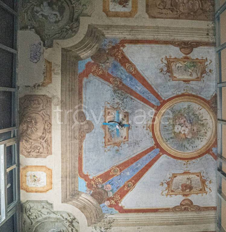 immagine annuncio 6 di 14