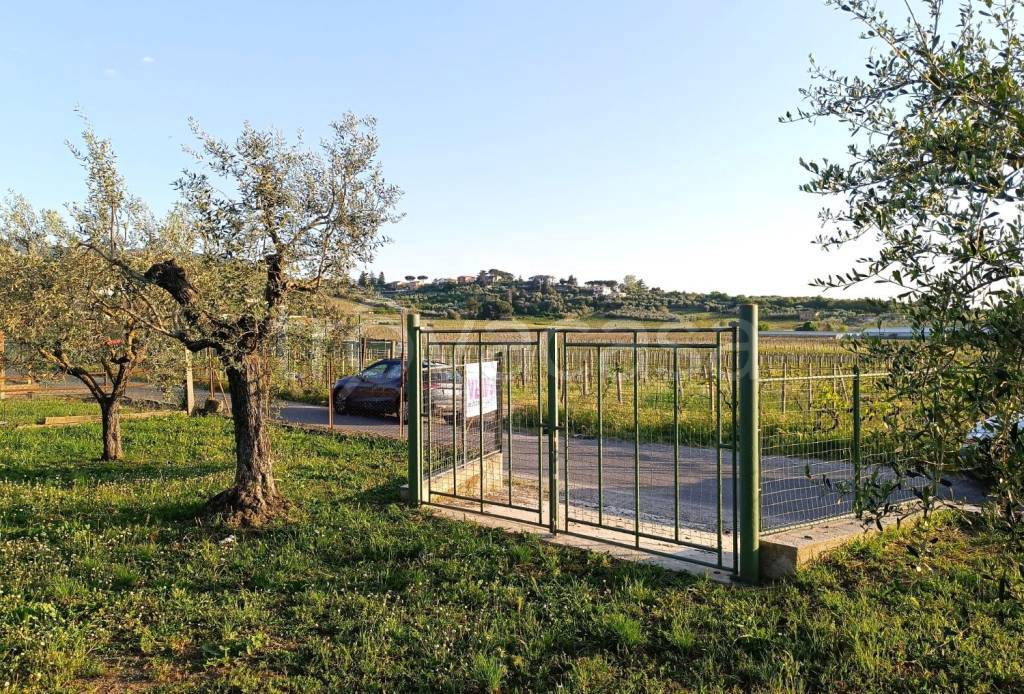 immagine annuncio 2 di 12
