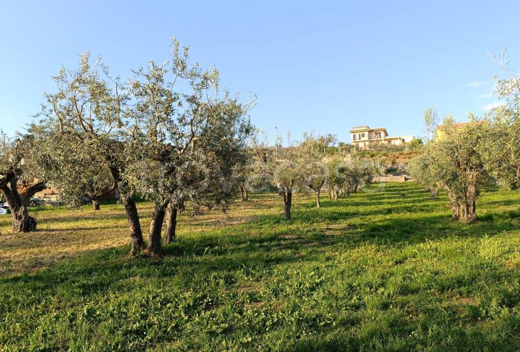 immagine annuncio 10 di 12