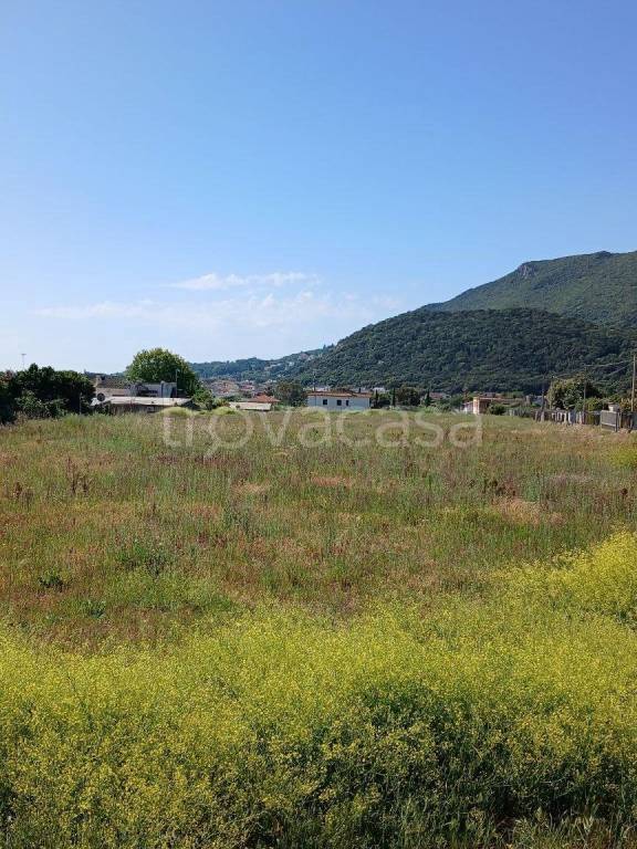 immagine annuncio 6 di 8