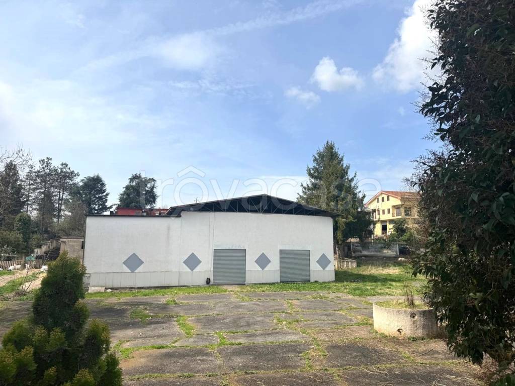 immagine annuncio 1 di 6