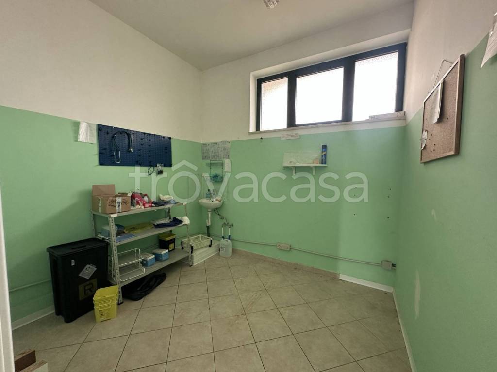 immagine annuncio 3 di 7