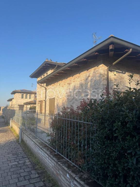 immagine annuncio 9 di 14