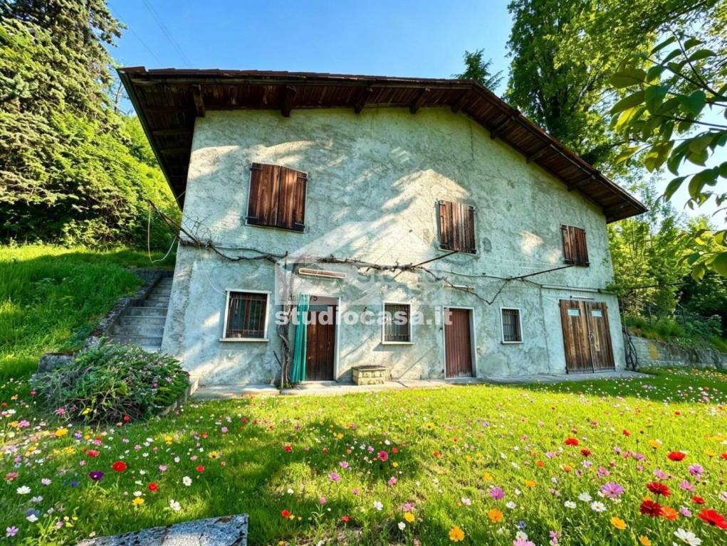 immagine annuncio 1 di 10