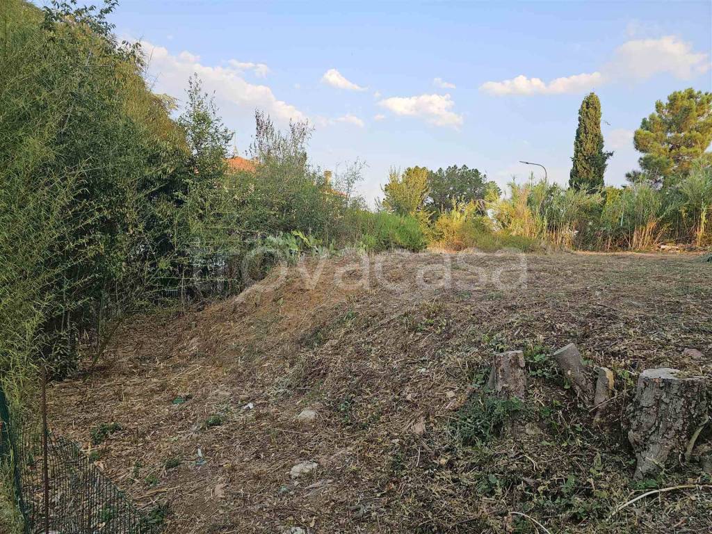 immagine annuncio 2 di 13