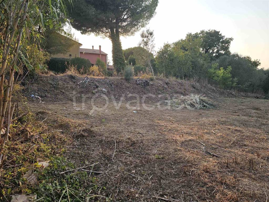 immagine annuncio 6 di 13