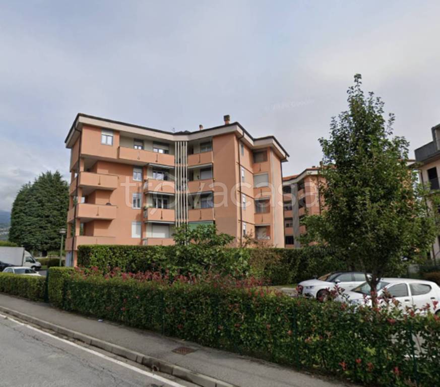 immagine annuncio 7 di 11