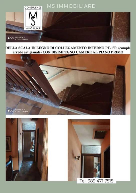 immagine annuncio 4 di 14