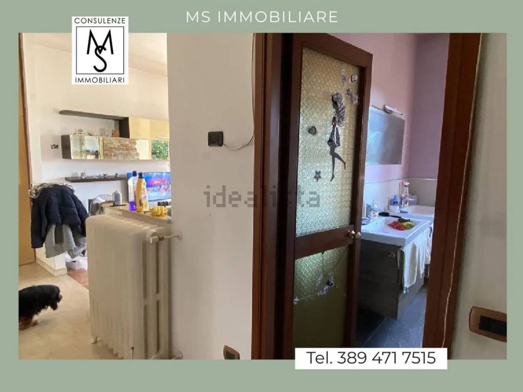 immagine annuncio 11 di 14