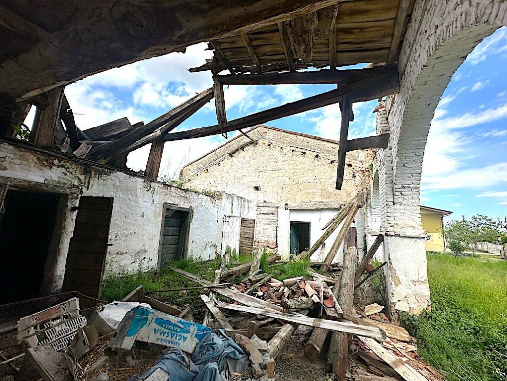 immagine annuncio 4 di 14