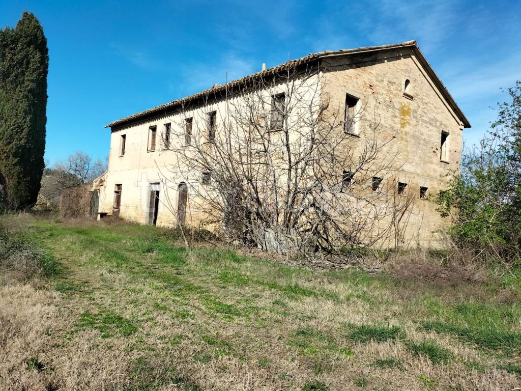 immagine annuncio 2 di 13
