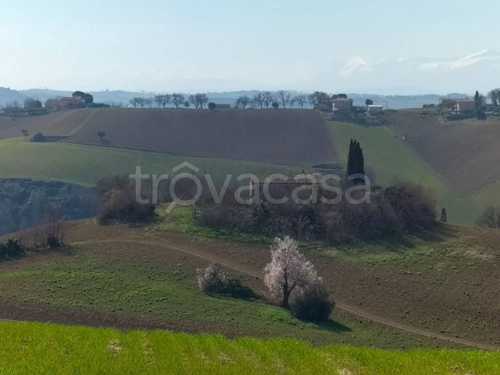 immagine annuncio 10 di 13