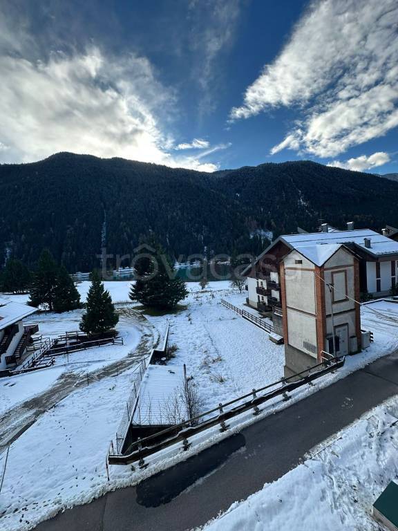 immagine annuncio 6 di 12