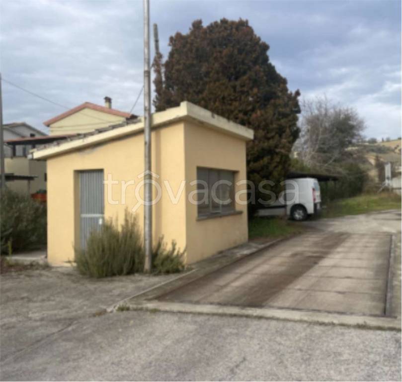 immagine annuncio 8 di 13
