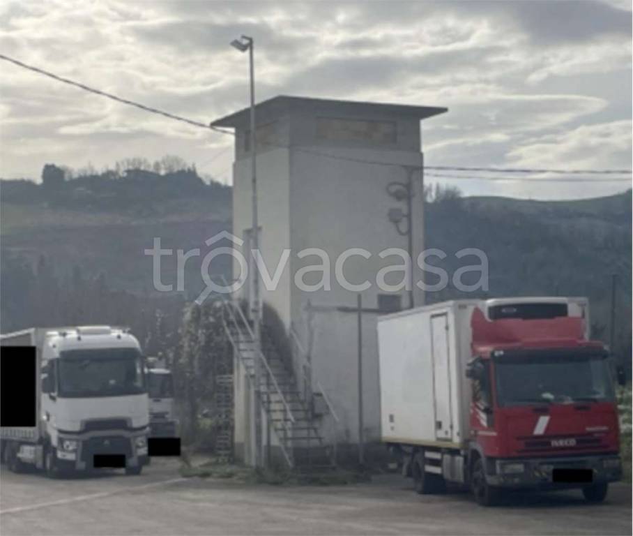 immagine annuncio 10 di 13