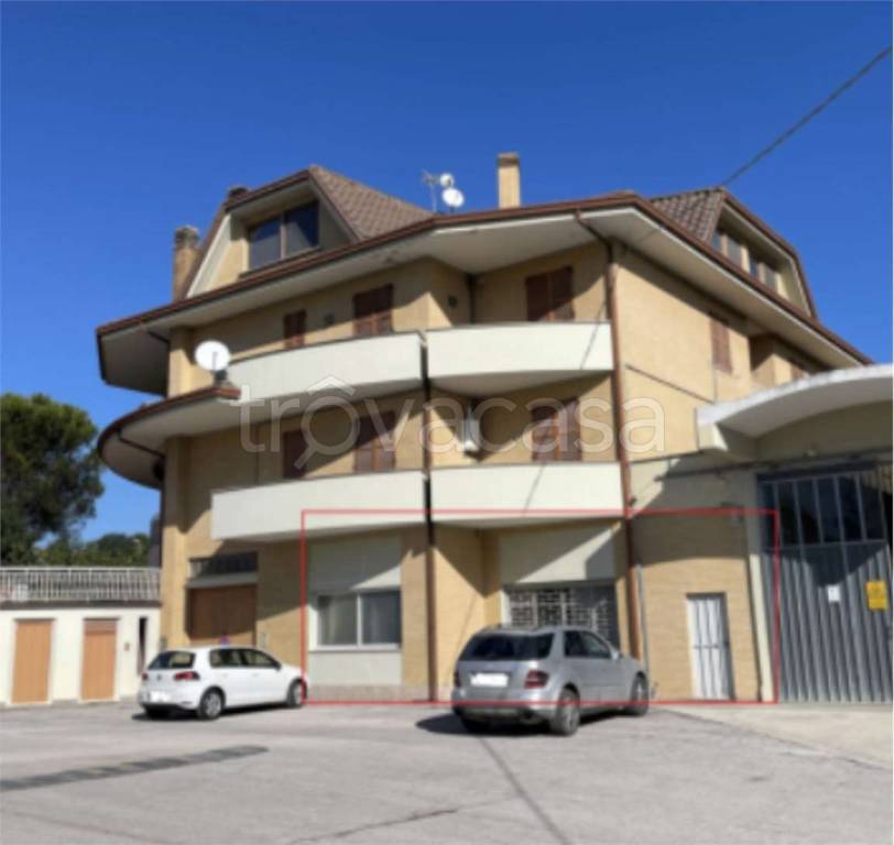 immagine annuncio 11 di 13