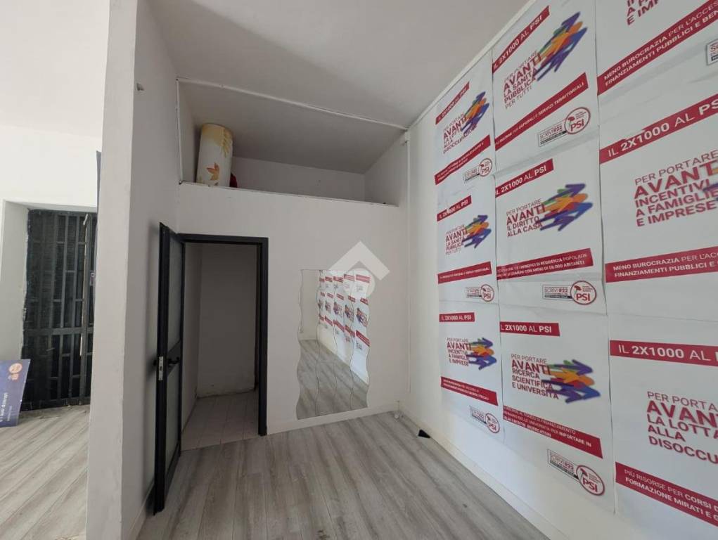 immagine annuncio 5 di 14